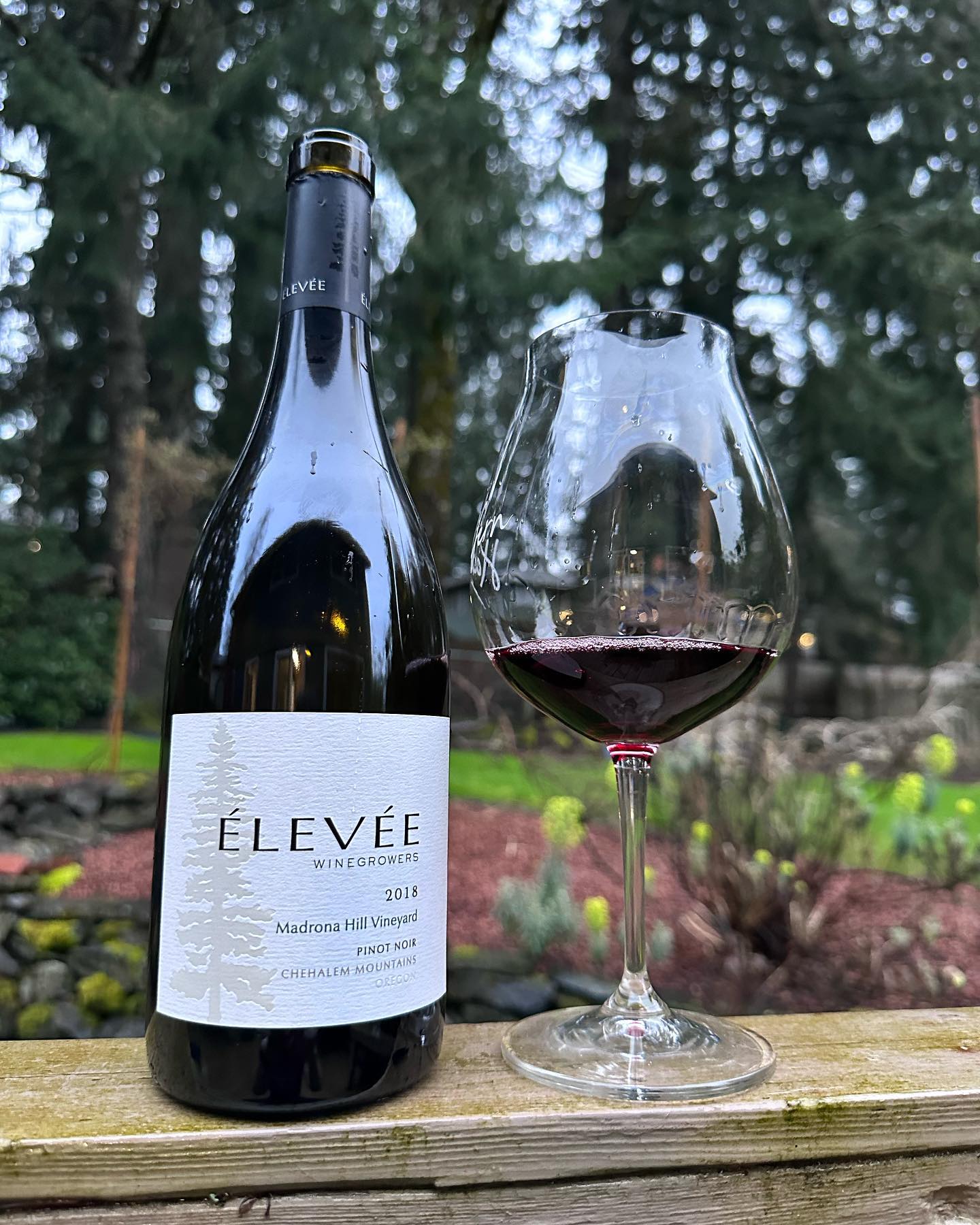 Before I dive into the wine, if you are watching Ted Lasso, I would love to know how yo…