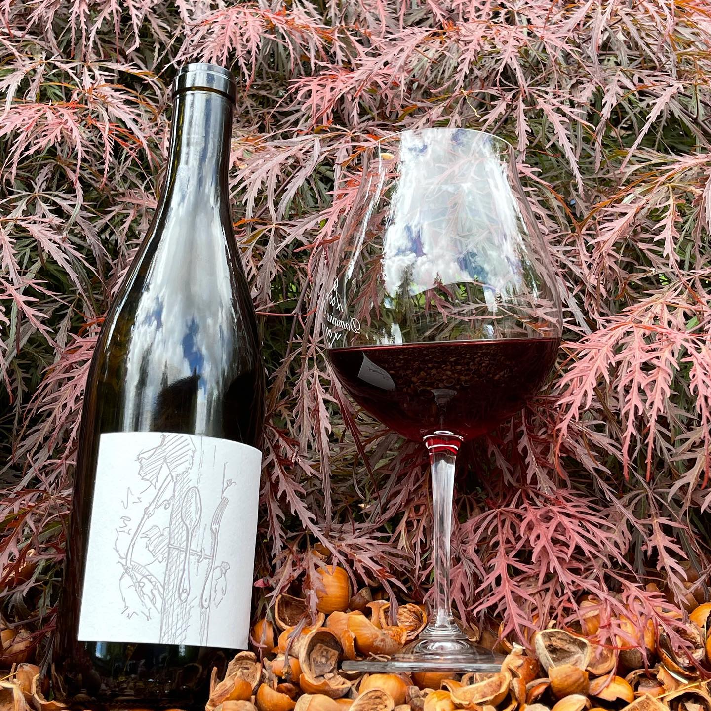 There are so many wineries on my list to visit and do a deep dive into their wines. I f…
