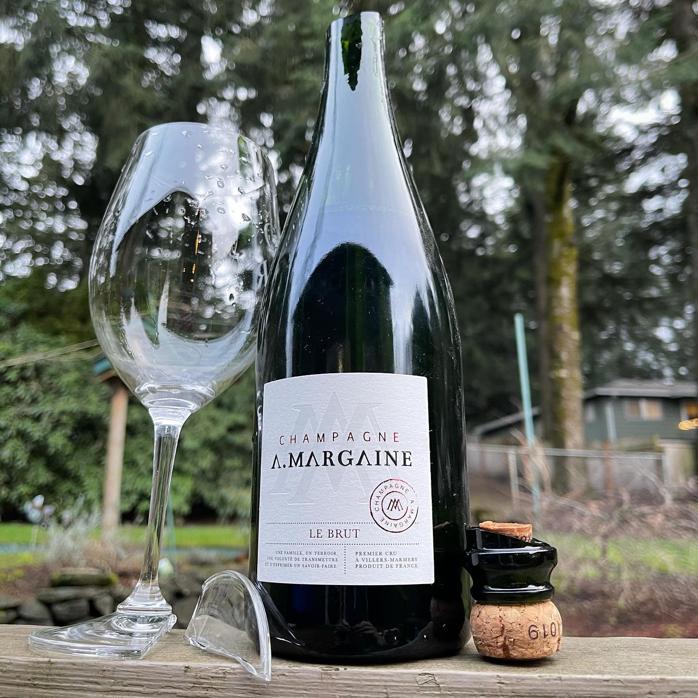 Seems appropriate. 2020 shreds a glass while sabering. Thank you 2020, you will never b…