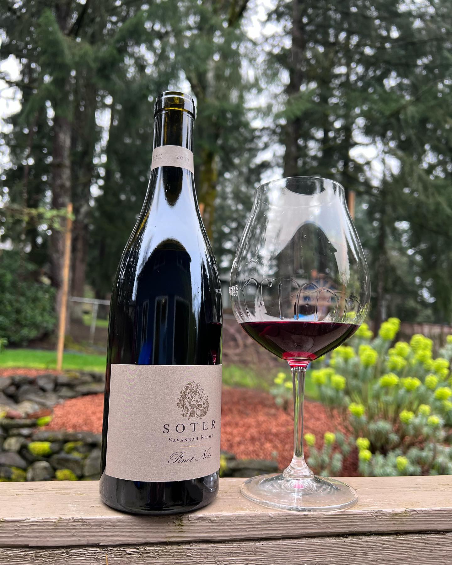 I don’t know why, but I opened my last bottle of Pinot from Soter today. I have other w…
