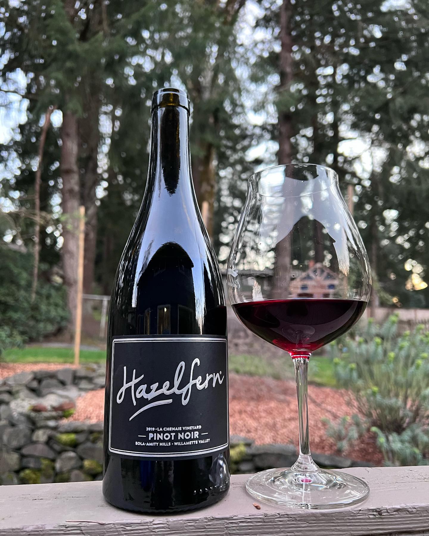 In case you weren’t aware, today is National Hazelfern (@hazelferncellars) day. The wif…