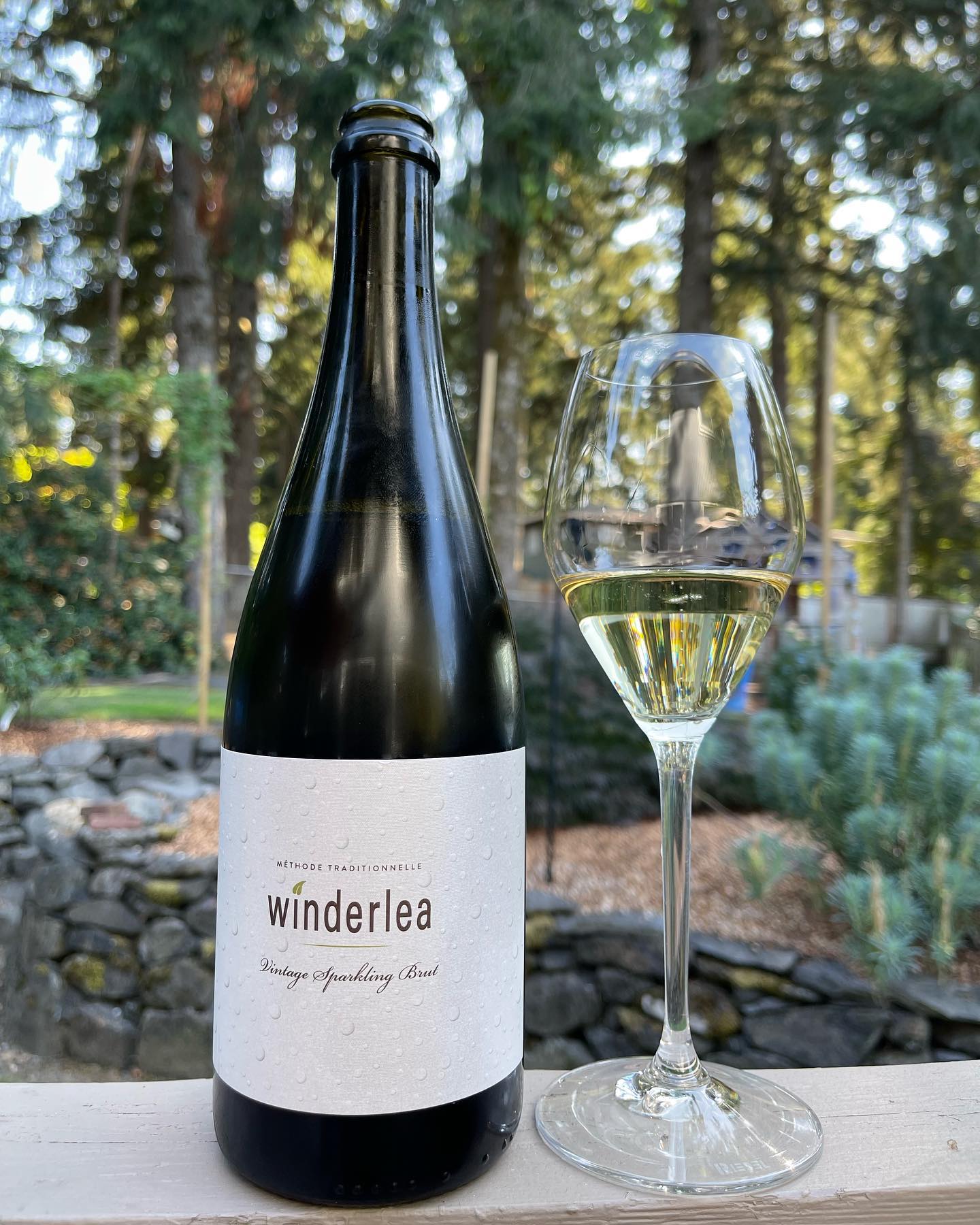 Day 26 of Oregon Sparkling!