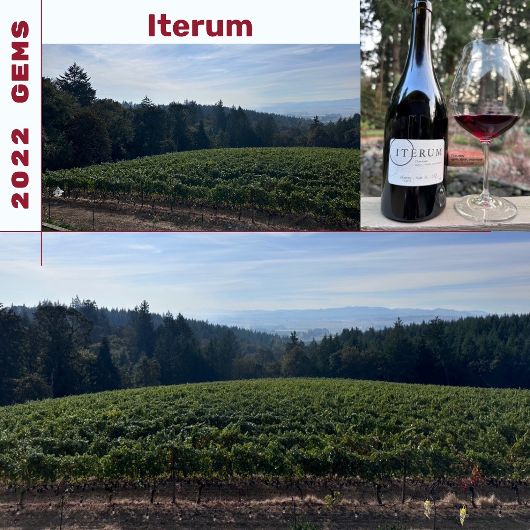 Today is Day 7 of 10 of my Gemstone Winery finds of 2022 with Iterum Wines(@iterumwines).