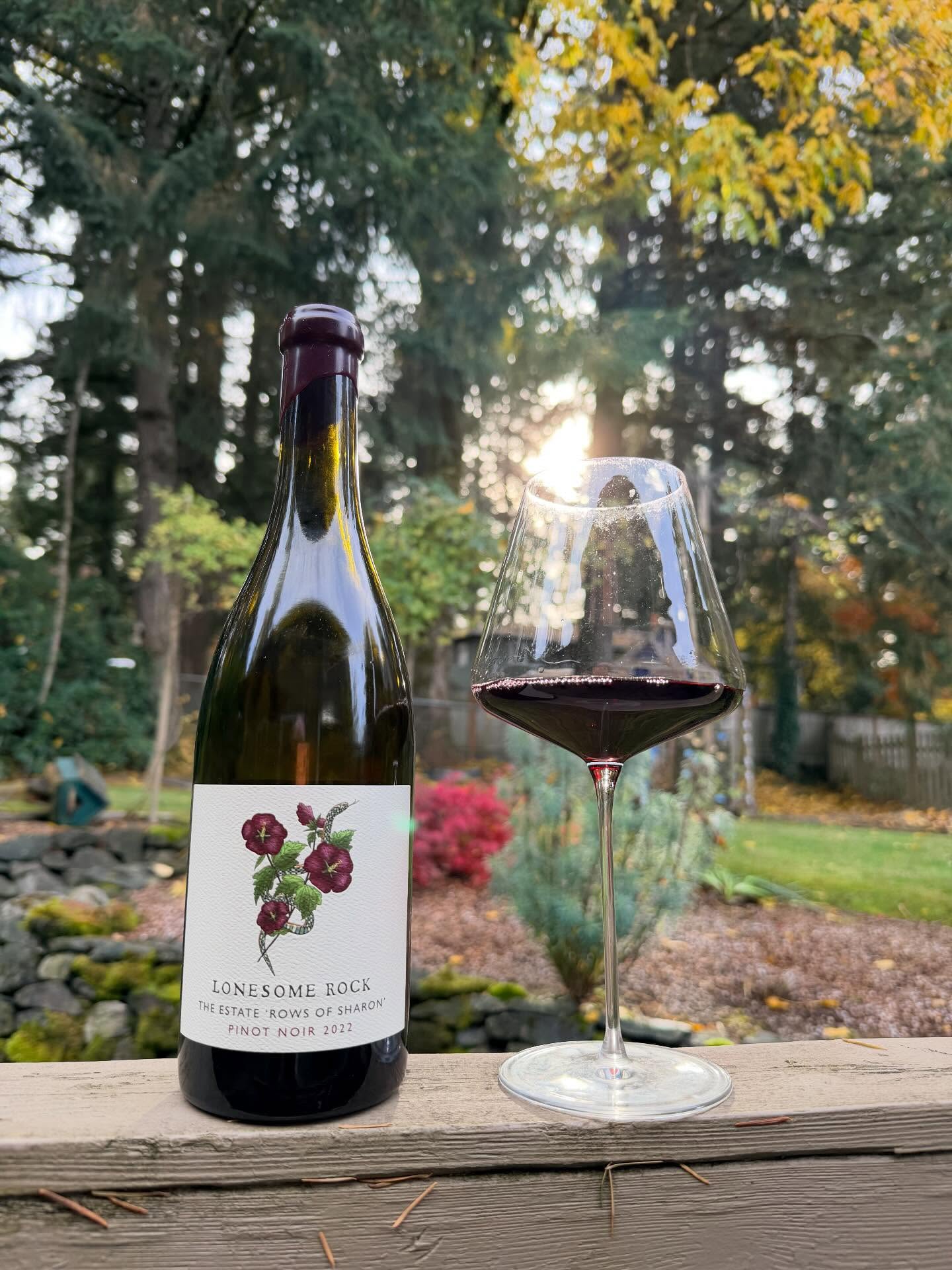 Exploring the rabbit hole of wine means you never truly know where you are going. Going…