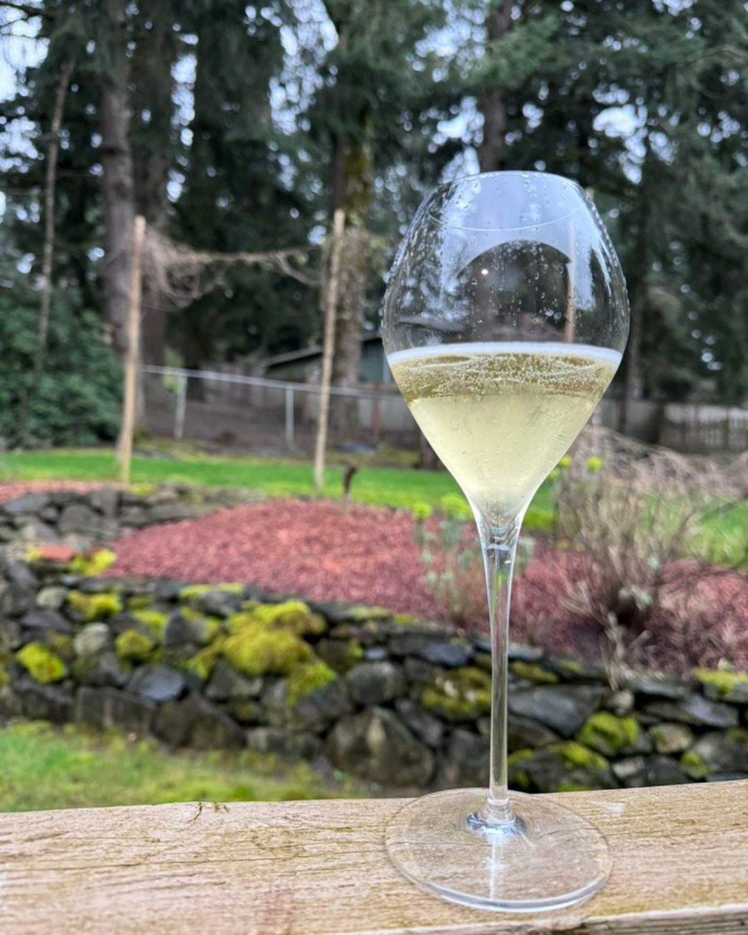 The second Sparkling I have been waiting on since the Summer of 2021 from Arabilis (@ar…