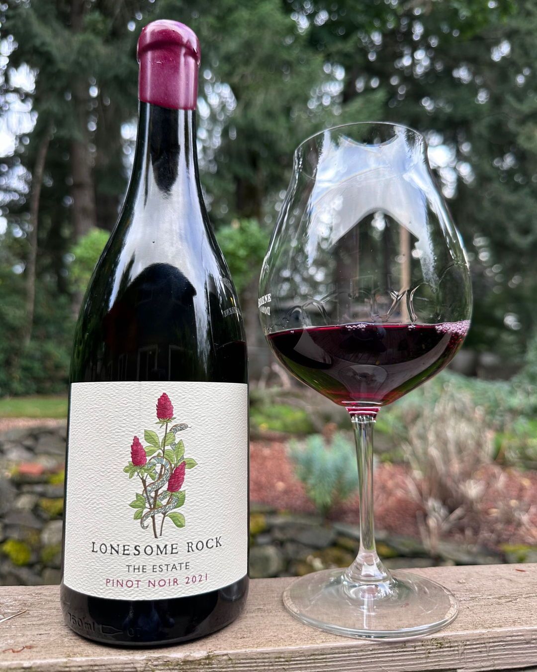 I have been waiting a long time to publish the newsletter for Lonesome Rock, and on Sat…