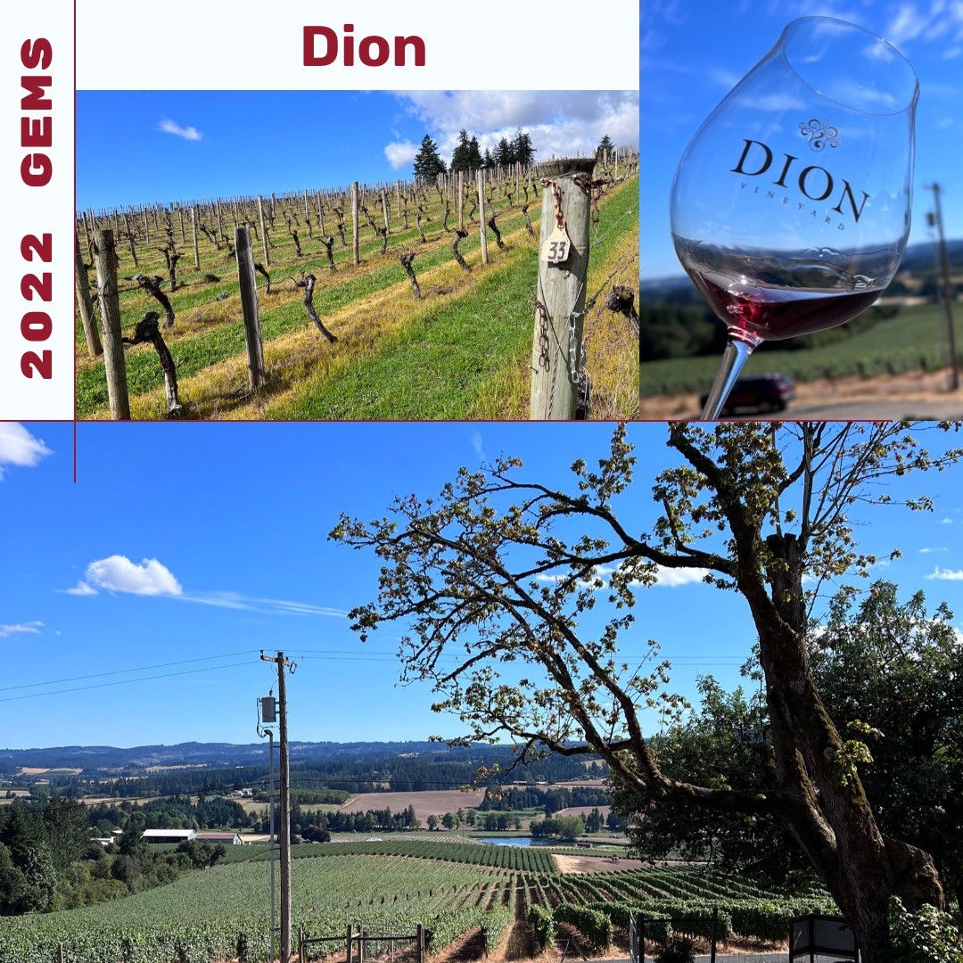 Today is Day 5 of 10 of my Gemstone Winery finds of 2022 with Dion Vineyards (@dionvine…