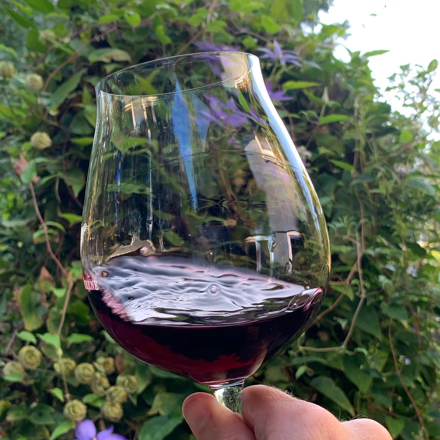 Gotta be outside to enjoy every last bit of summer and of course celebrate Pinot Day 🍷
