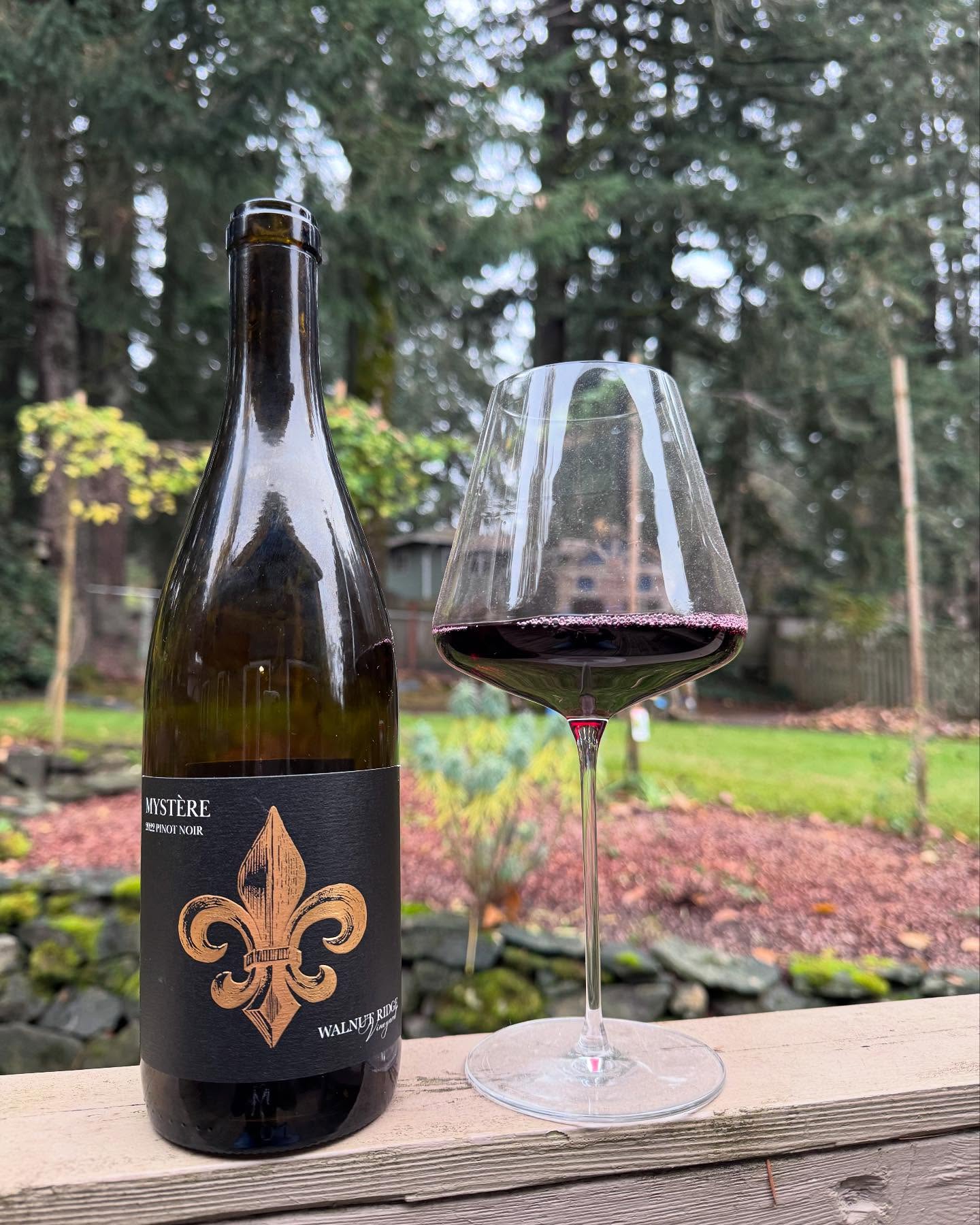 OK, not only is this wine a Thanksgiving wine, but it is also the blind wine I poured f…