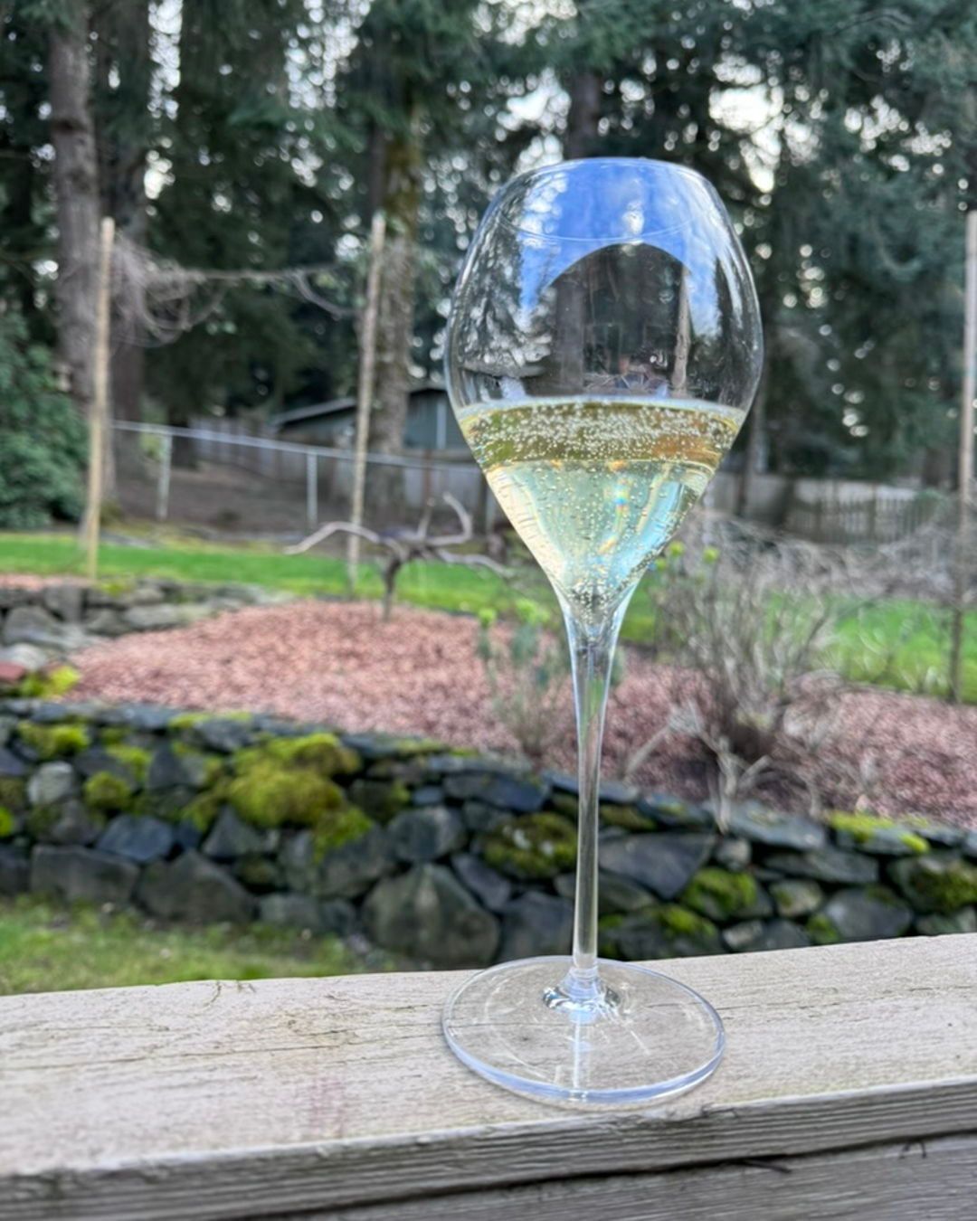 Oh my goodness, where is the wine bottle? I have been waiting since the summer of 2021 …