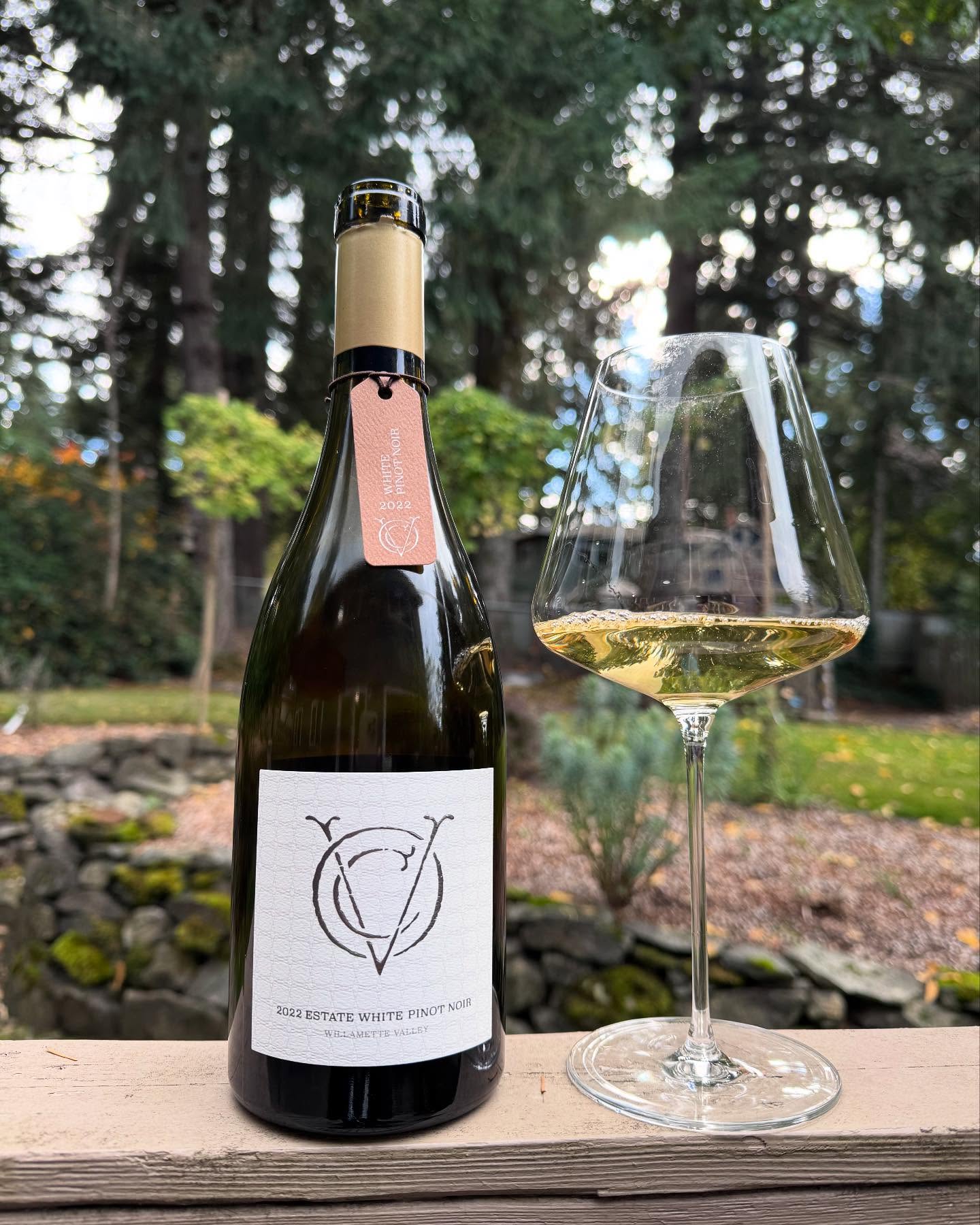 Let’s continue this wonderful journey of Thanksgiving wines together! I just can’t get …