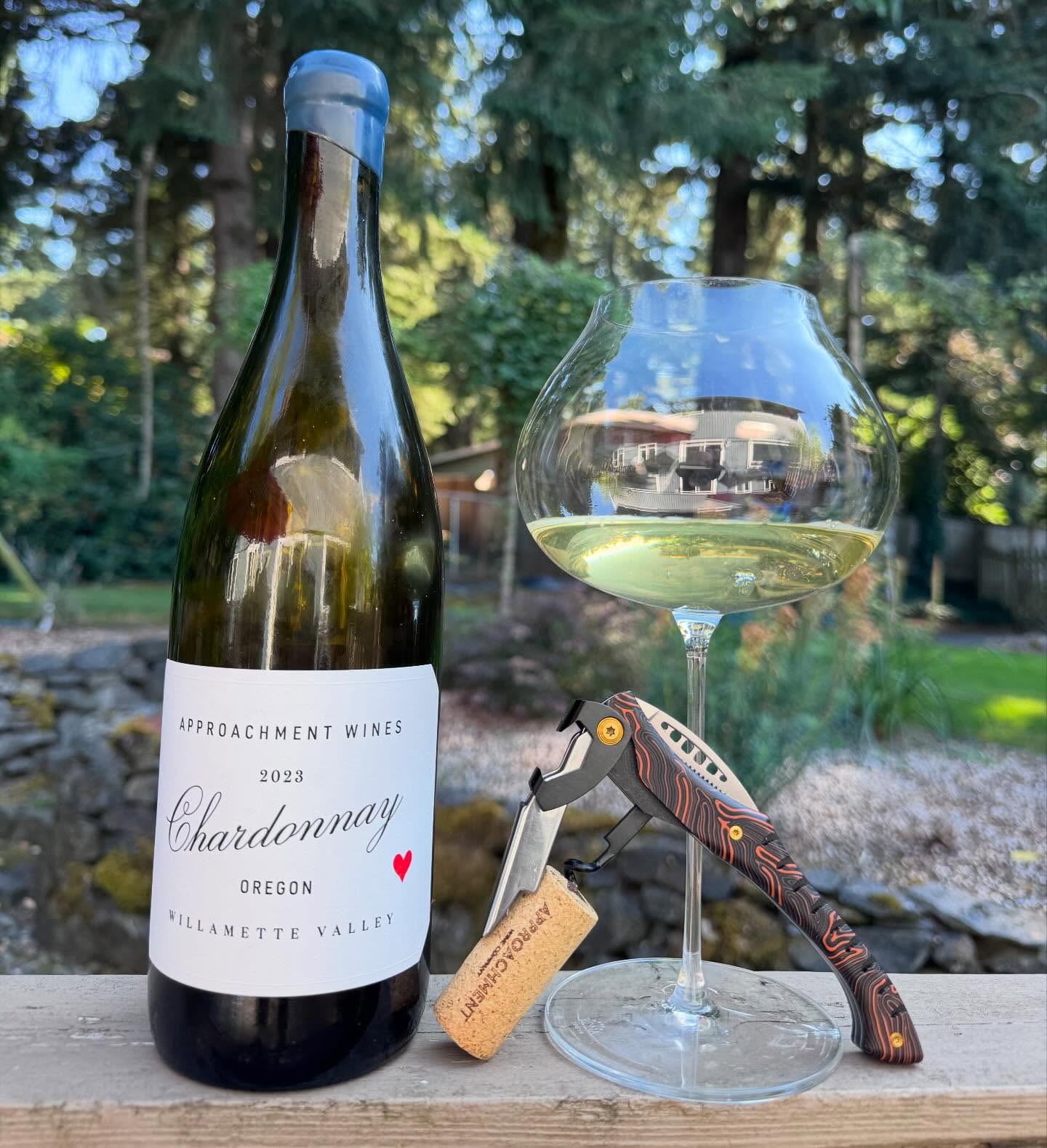 When I first read the early reviews of the 2023 Approachment Chardonnay (@approachmentw…