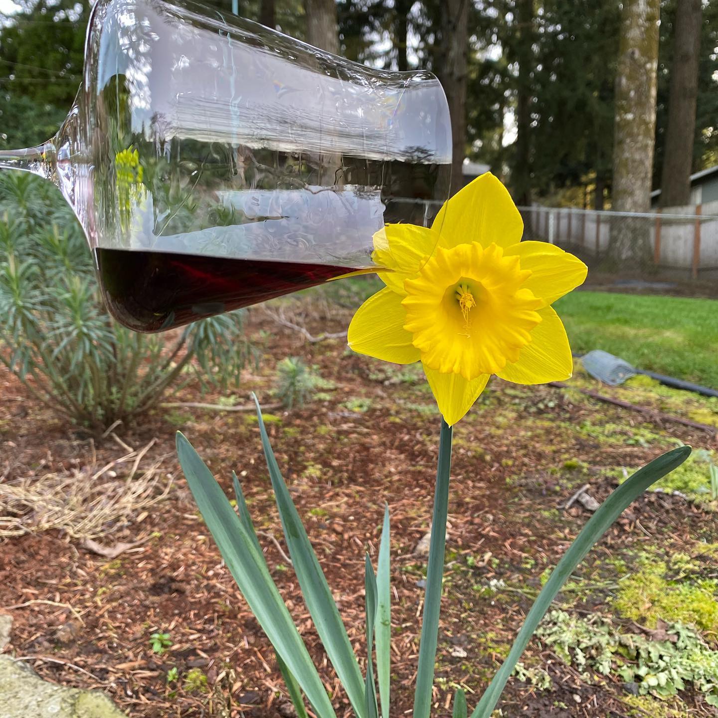 I don’t care what everyone else thinks spring is here and it is time to water with flow…