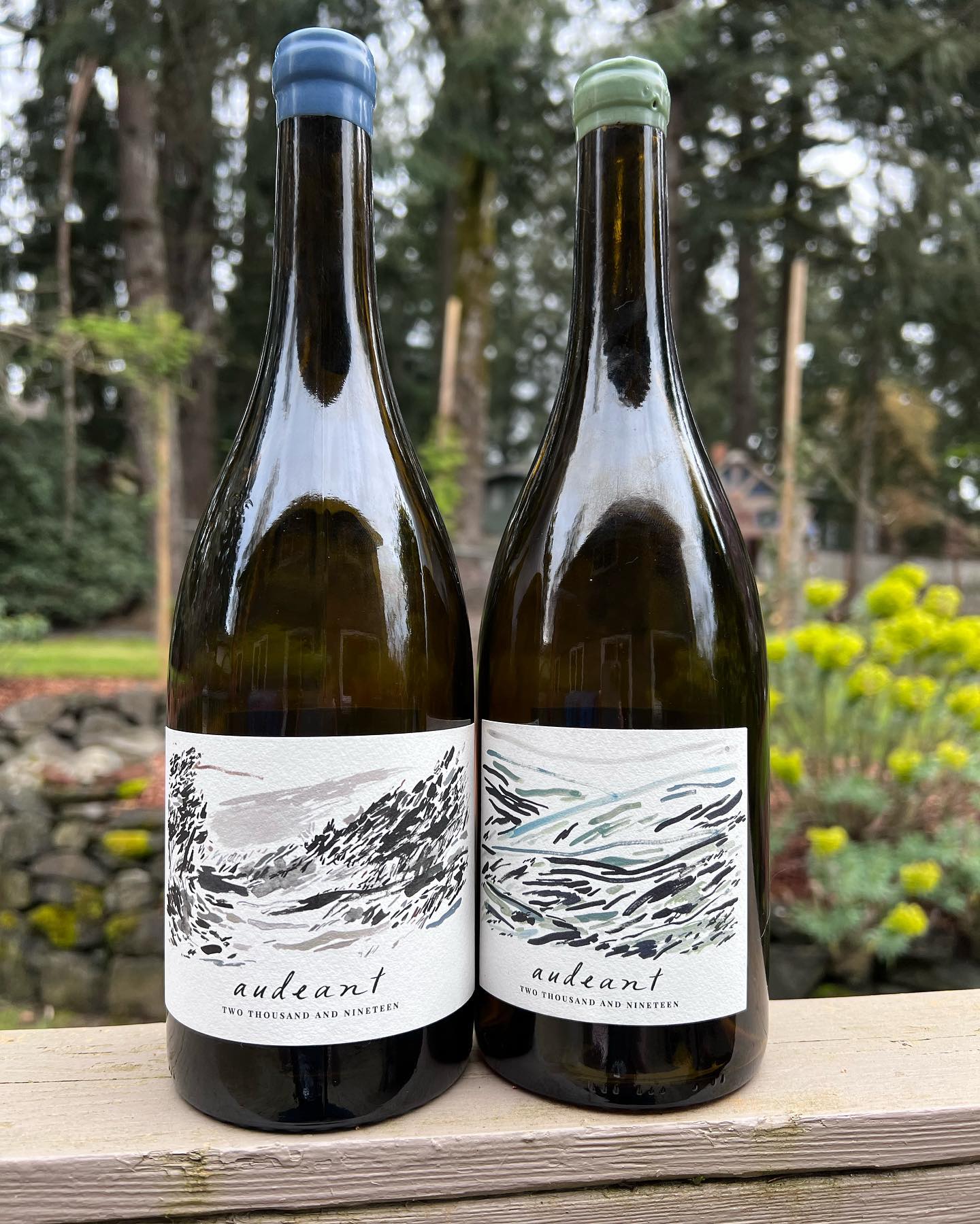 If you are reading this post, the likelihood of you being on some sort of wine journey …