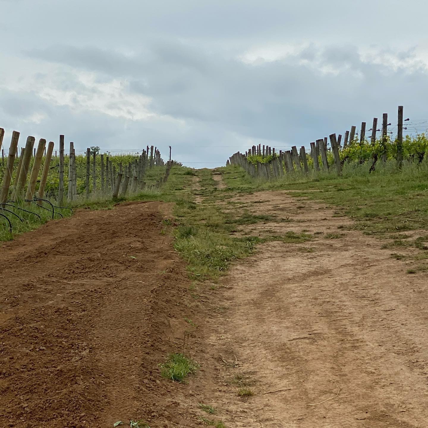 When is the last time you drove down a dirt road for a tasting? When is the last time y…