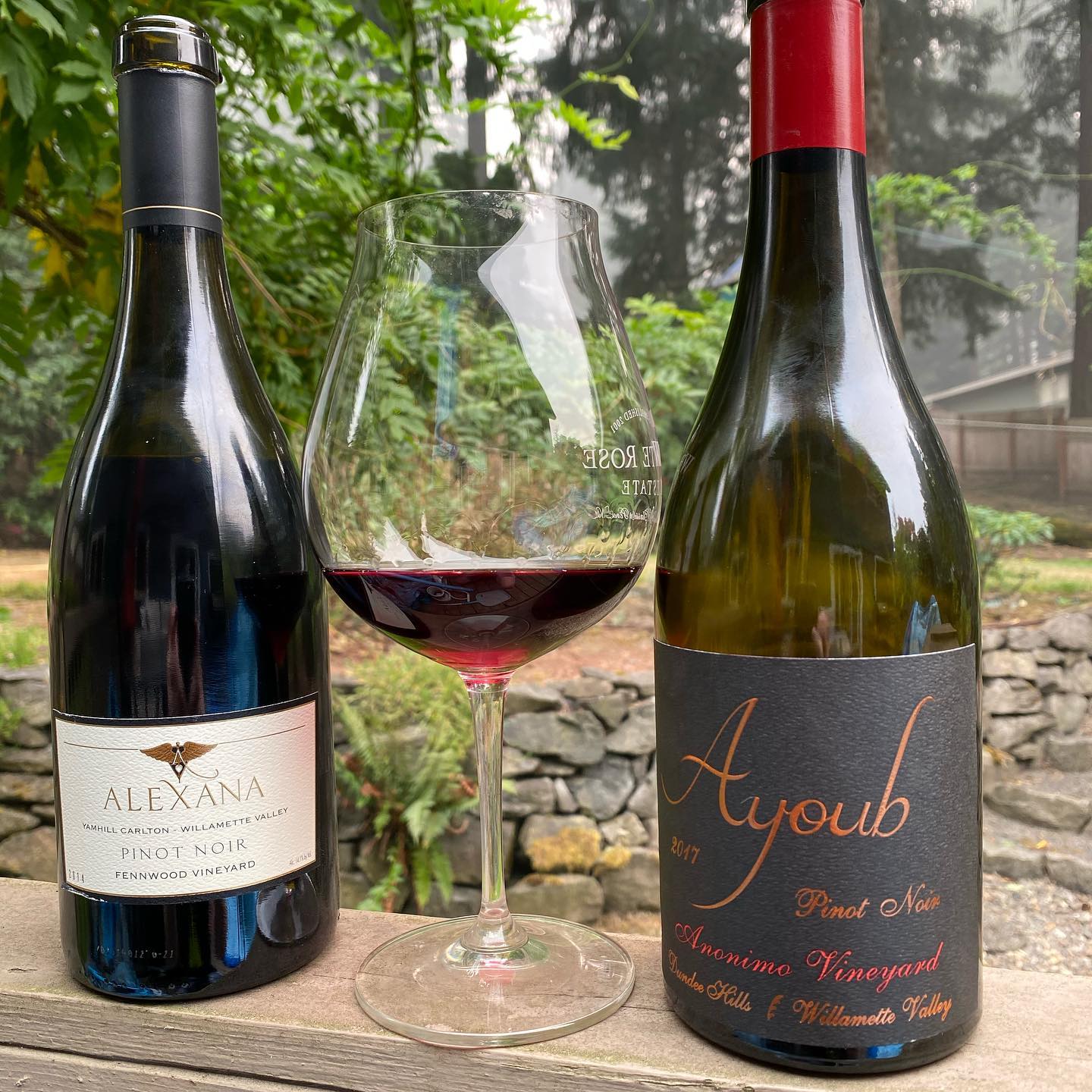 Wine Wednesday is finishing off a 2017 Ayoub Anonimo from last night. This was my rain …