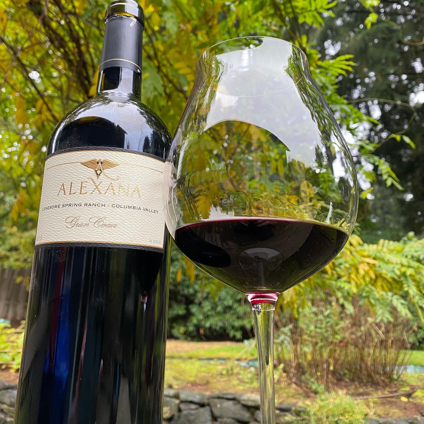 Last week I had so much Pinot that I needed a different security blanket on election ni…