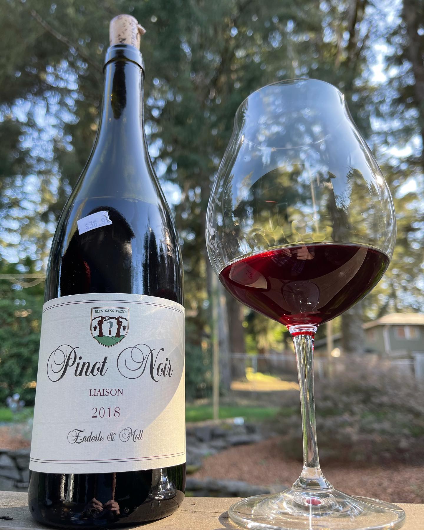 Tonight is , and the theme is an obscure Pinot. I found a German Pinot along with six o…