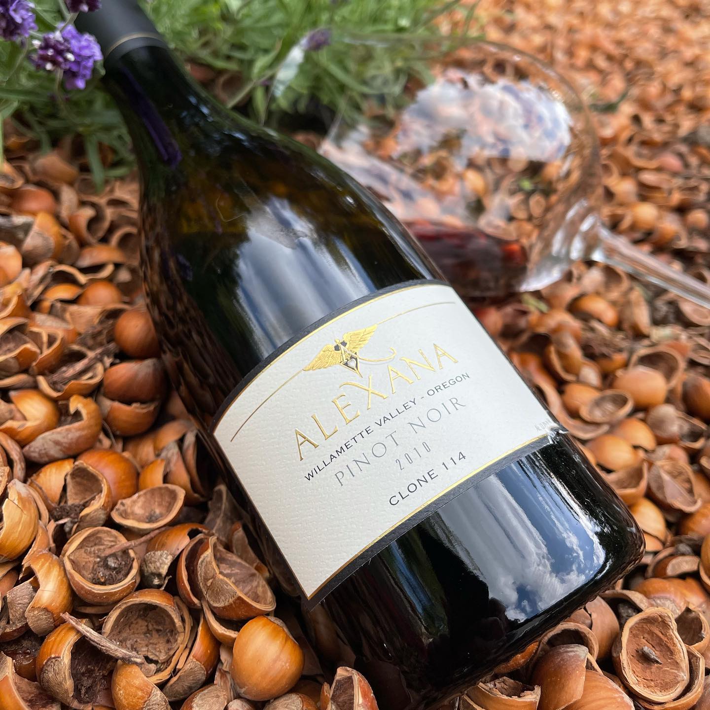 Maybe it’s the fact it is the day after International Wine Day, or the sun came out to …
