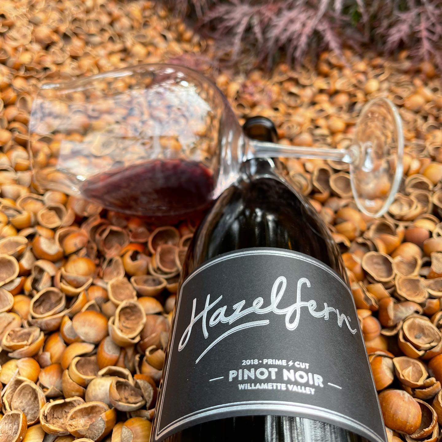 The sun is setting, and I am ready for some Pinot! I didn’t realize how much I have bee…