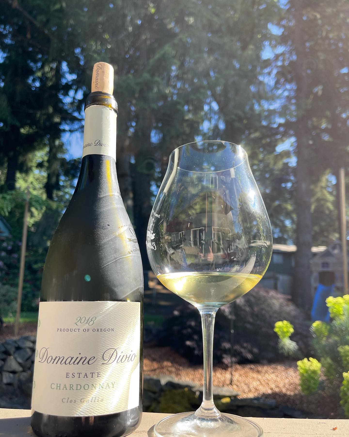 The sun is out in full force, time to break out some Chard!