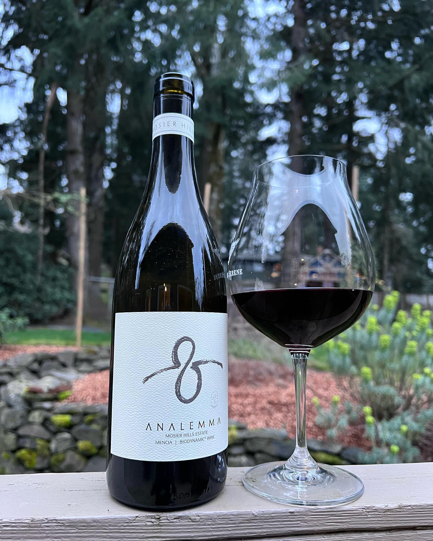 How can I pass up National Drink Wine Day? Even though I enjoy celebrating this day, it…