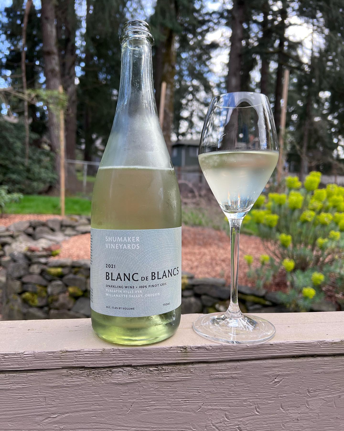 Spring is in the air, and opening Bubbles totally hit the spot tonight! I haven’t been …