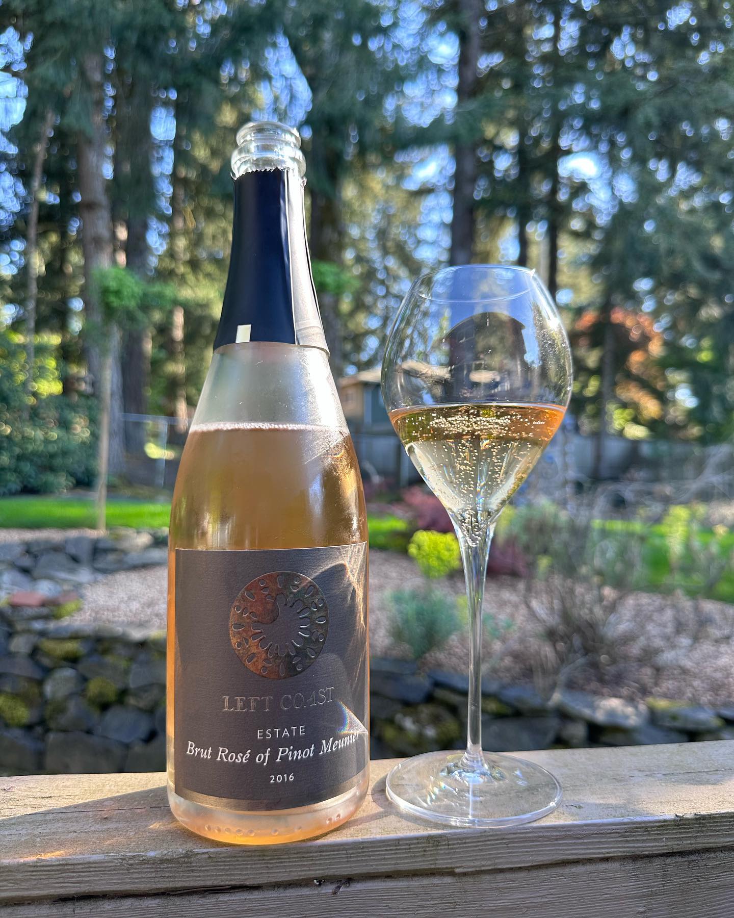 Over the weirdly hot weekend, I couldn’t help but pop the cork on some Bubbles to enjoy…