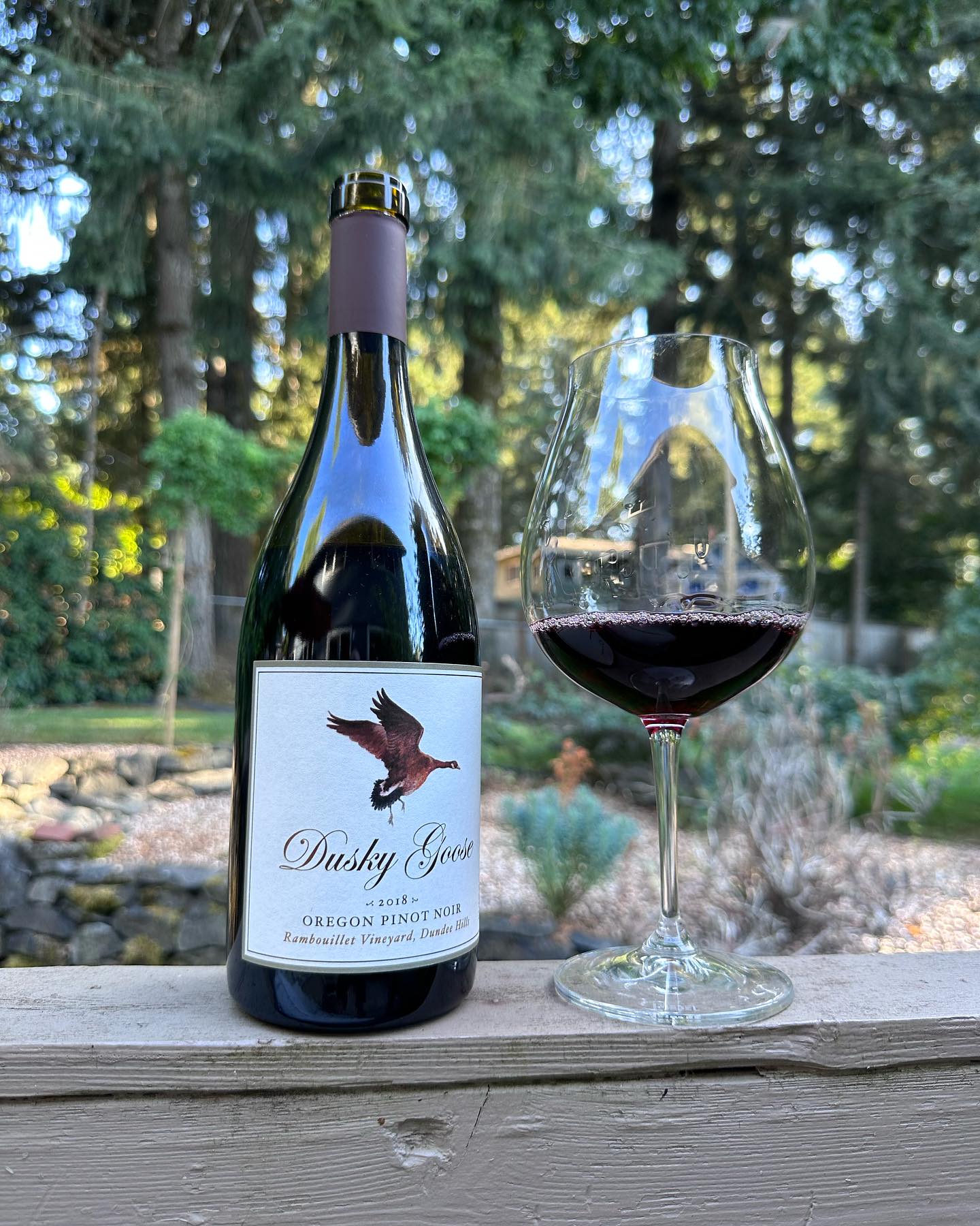 It’s National Pinot Noir Day and it just so happens I am quite the fan which means ther…
