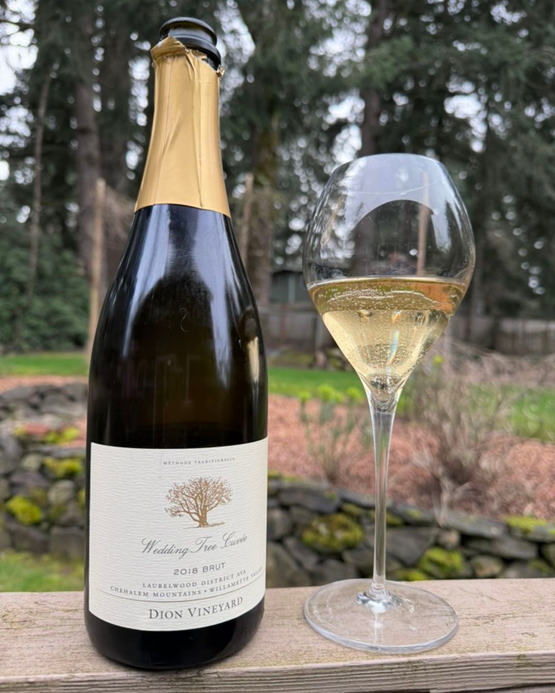 Attending the Oregon Chardonnay Celebration last weekend was an absolute delight! Altho…