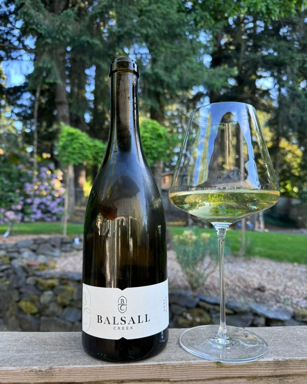 Yesterday I introduced you to Balsall Creek; today, I want to dive in a little deeper.