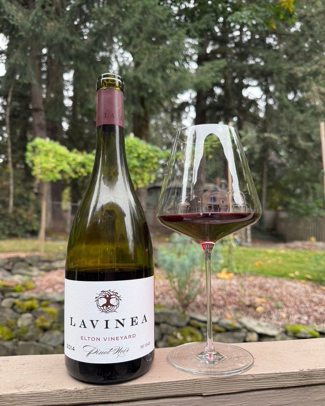 So many leaves have fallen off the trees, the 2024 vintage is pretty much in barrel for…